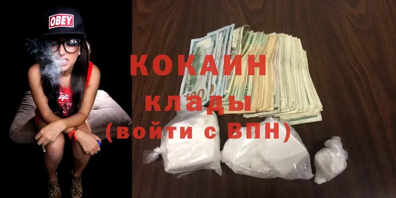 MEGA как зайти  Коряжма  Cocaine FishScale 